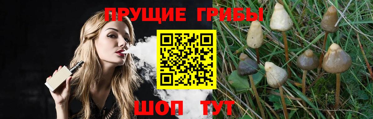 Галлюциногенные грибы GOLDEN TEACHER  Галлюциногенные грибы Psilocybine cubensis  Вход с VPN  Сердобск 